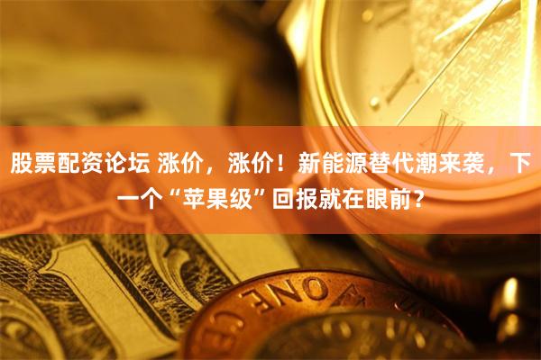 股票配资论坛 涨价，涨价！新能源替代潮来袭，下一个“苹果级”回报就在眼前？